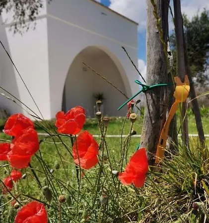 Alojamento de Acomodação e Pequeno-almoço B&B Villa Bello